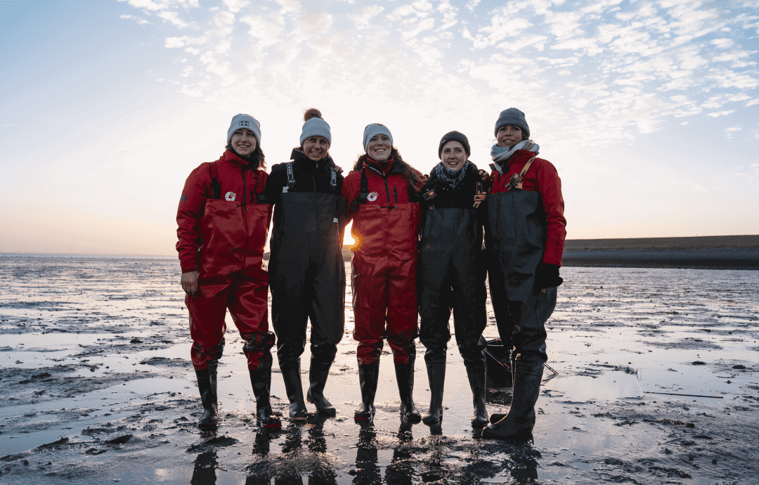 Die Teams der Sea Rangers und PURINA Europa vor Ort in den Niederlanden