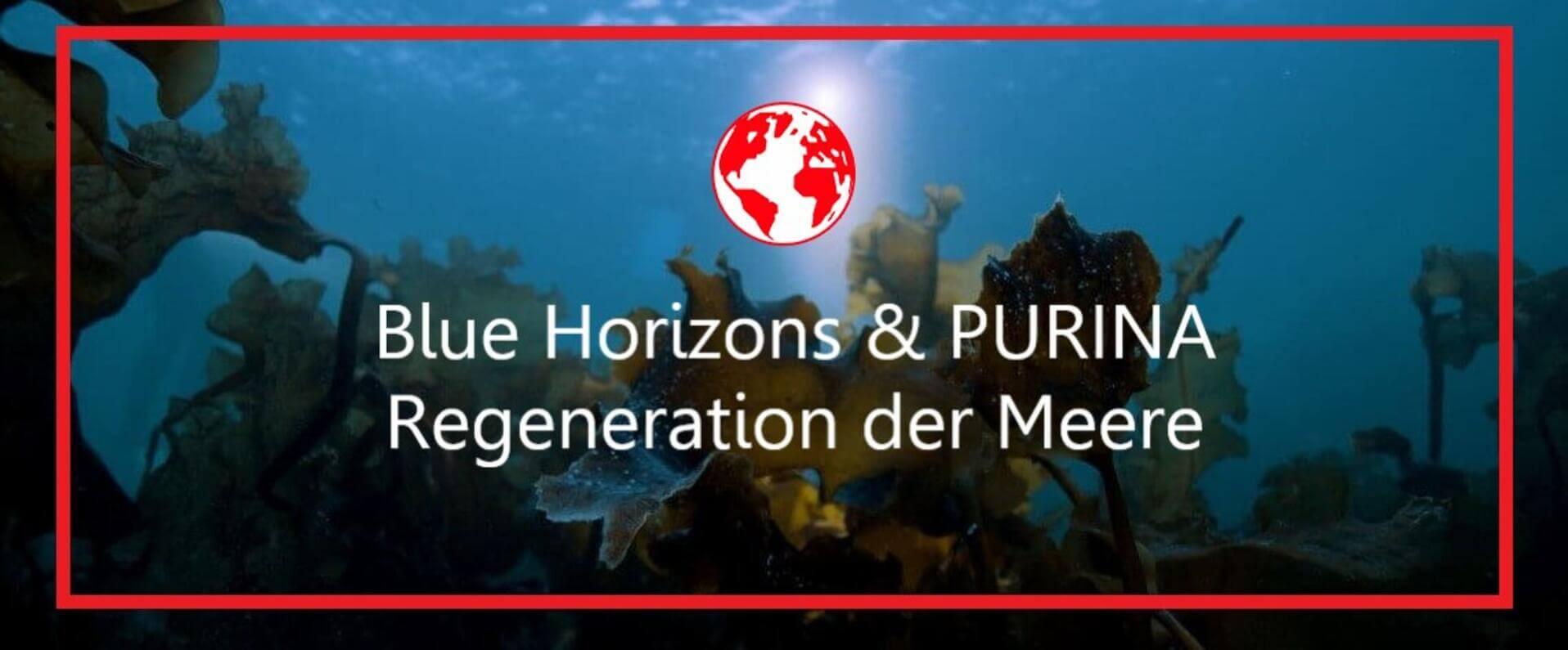 Blue Horizons & PURINA - Regeneration von Meereslebensräumem