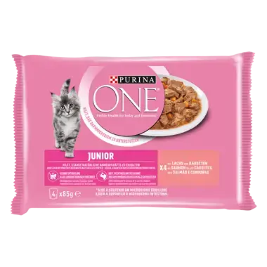 Purina ONE® Junior mit Lachs und Karotten Vorderansicht