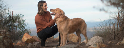 Golden Retriever mit Besitzer auf Bergpfad