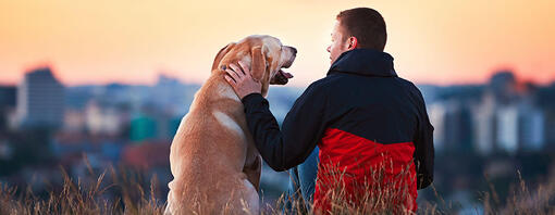 Mann und Hund beobachten den Sonnenaufgang