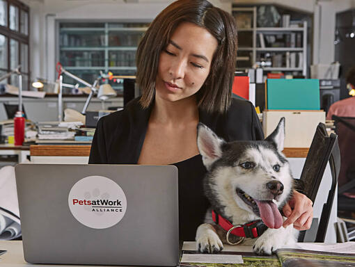 Hund im Büro