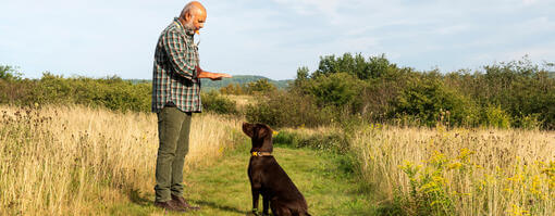 how to teach a dog to sit