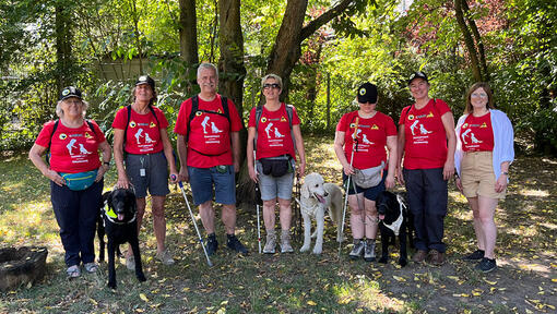 Blindenführhunde mit Wanderern